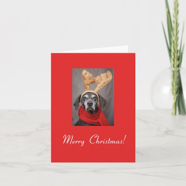 Merry Christmas german shorthaired pointer Holiday Card (Front)