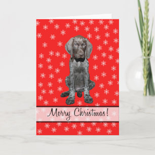 Merry Christmas german shorthaired pointer Holiday Card