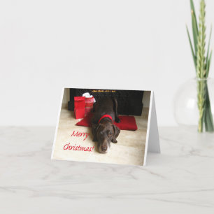 Merry Christmas german shorthaired pointer Holiday Card