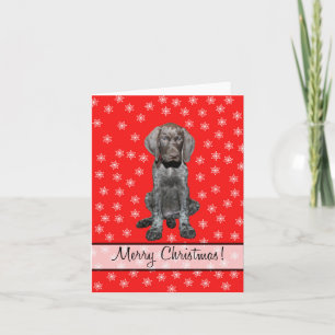 Merry Christmas german shorthaired pointer Holiday Card