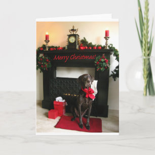 Merry Christmas german shorthaired pointer Holiday Card