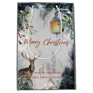 Merry Christmas Gift Bag