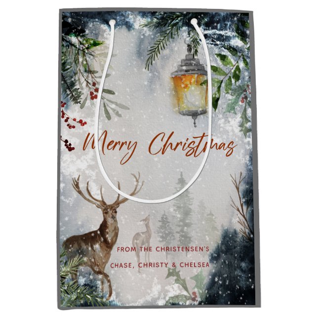 Merry Christmas Gift Bag (Front)