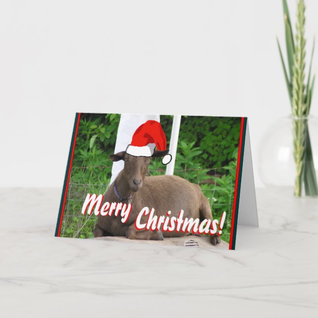 MERRY CHRISTMAS GOAT GREETINGS HOLIDAY CARD (Front)