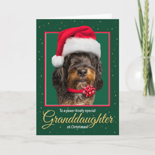 Merry Christmas Granddaughter Bernedoodle Dog  Holiday Card