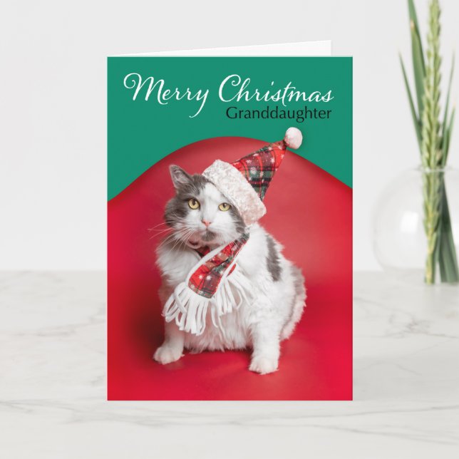 Merry Christmas Granddaughter Cute Cat in Hat Holiday Card (Front)