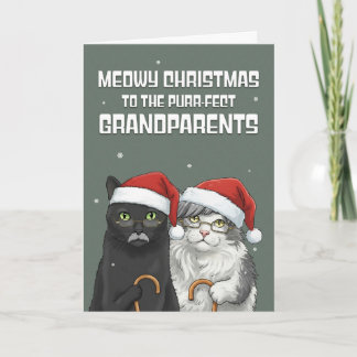 Merry Christmas Grandparents Funny Cats Humor  Holiday Card