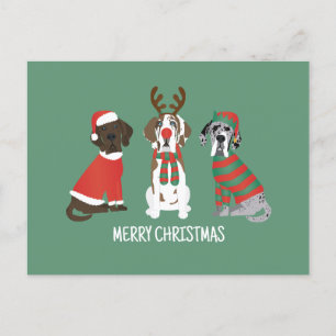 Merry Christmas Great Dane Dogs Postcard