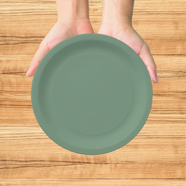Merry Christmas Green Paper Plate (Creator Uploaded)