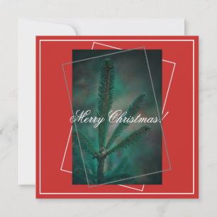 Merry Christmas Green Pine Fir Tree Greeting Card