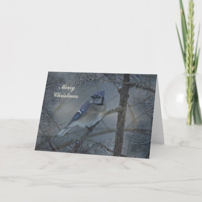 Merry Christmas Greeting Card - Blue Jay in Snow (Front)