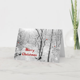 Merry Christmas Greeting Card - Snowy Woods