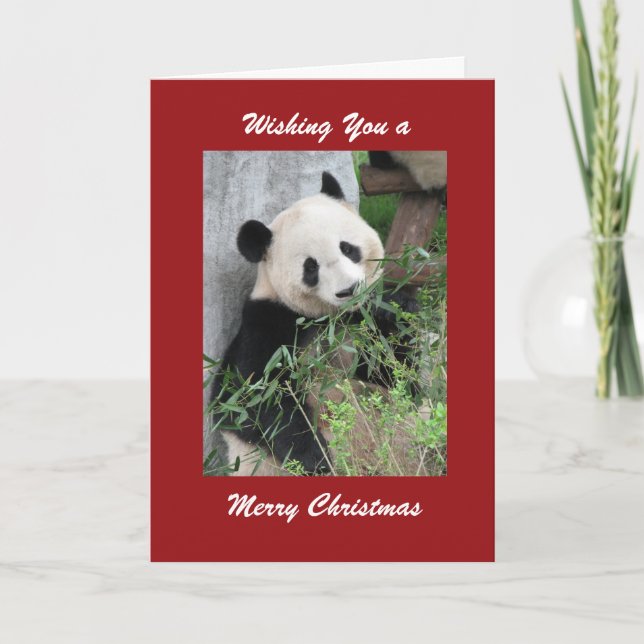Merry Christmas Greeting Giant Panda Red Border Holiday Card (Front)