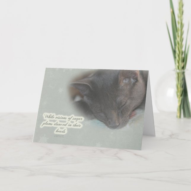 Merry Christmas Greeting - Sleeping Kitty - Dreams Holiday Card (Front)