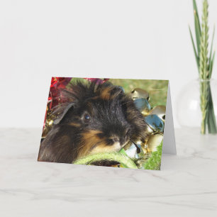 Merry Christmas!  Guinea Pig Holiday Card
