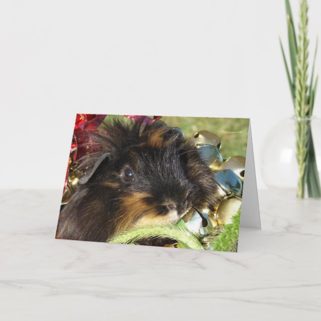 Merry Christmas!  Guinea Pig Holiday Card (Front)