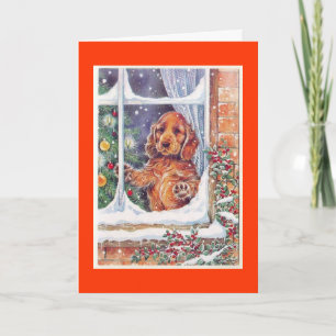 Merry Christmas & Happy New Year Card