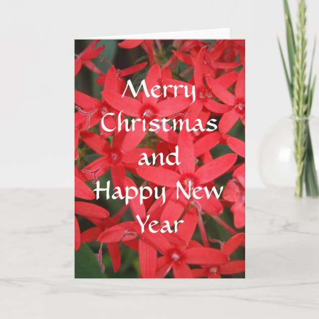 Merry Christmas & Happy New Year Card (Front)