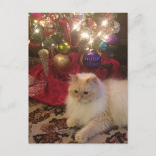 Merry Christmas & Happy New Year Postcard