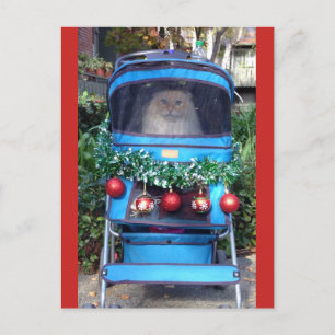 Merry Christmas & Happy New Year Postcard