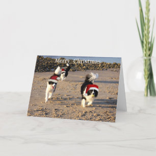 Merry Christmas Holiday Card
