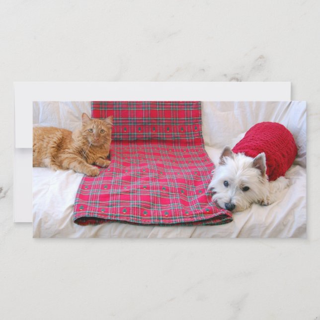 Merry Christmas Holiday Card (Front)