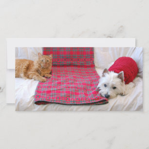 Merry Christmas Holiday Card