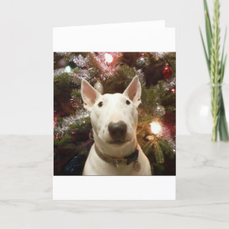 merry christmas holiday card