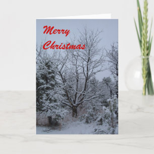 Merry Christmas Holiday Card
