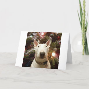 merry christmas holiday card