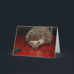 Merry Christmas! Holiday Card<br><div class="desc">Let this little guy help protect those Christmas greetings!</div>