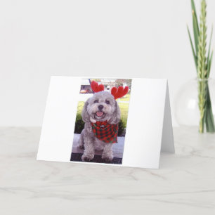 Merry Christmas Holiday Card