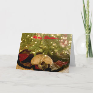 Merry Christmas Holiday Card