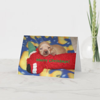 Merry Christmas! Holiday Card