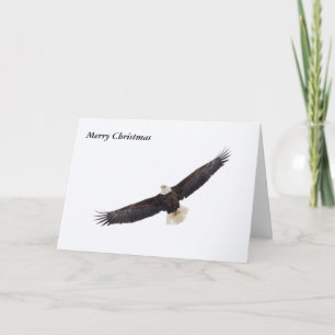 Merry Christmas Holiday Card