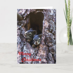 Merry Christmas Holiday Card