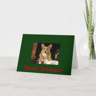 Merry Christmas! Holiday Card