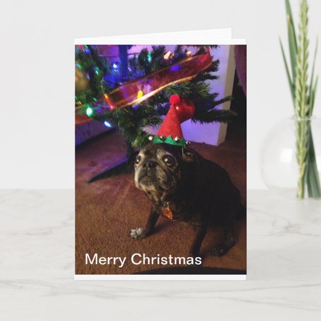 Merry Christmas Holiday Card (Front)