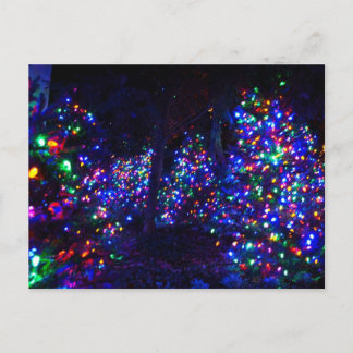 Merry Christmas! Holiday Postcard