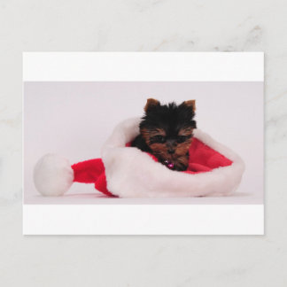 Merry Christmas Holiday Postcard
