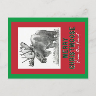 Merry Christmas Holiday Postcard