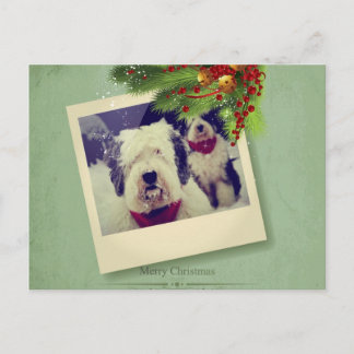 Merry Christmas! Holiday Postcard