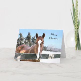 Merry Christmas horse Holiday Card