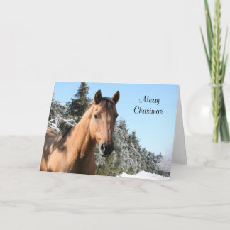 Merry Christmas horse Holiday Card