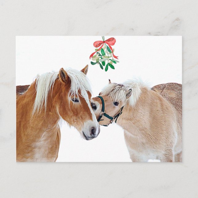 Merry Christmas Horse Mistletoe Equine Cute Ponies Holiday Postcard (Front)