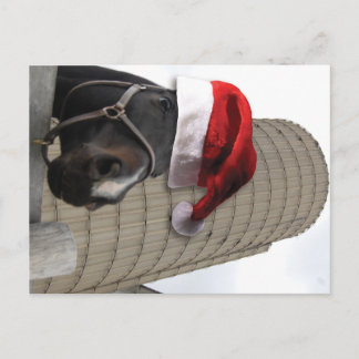 Merry Christmas Horse with Santa Hat Holiday Postcard