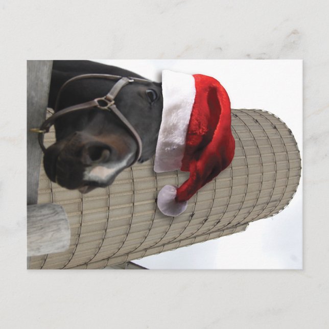 Merry Christmas Horse with Santa Hat Holiday Postcard (Front)