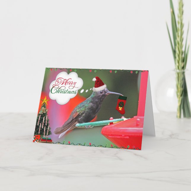 Merry Christmas Hummingbird Holiday Card (Front)
