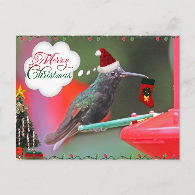 Merry Christmas Hummingbird Holiday Postcard (Front)