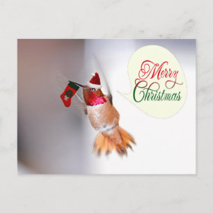 Merry Christmas Hummingbird with Xmas Stocking Holiday Postcard